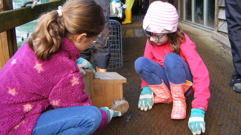 two young children squatting down to look at a wooden bird box