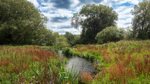 Landscape view of the fish passage at Chimney Meadows Nature Reserve