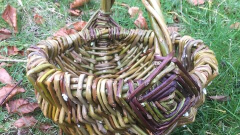 a weaved basket on grass amongst dry leaves