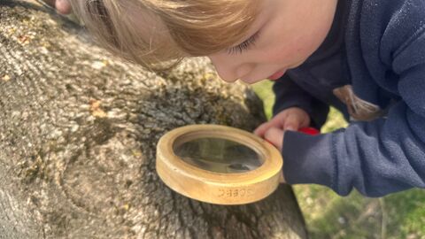 a young boy looking at a log through a magnifying glass