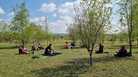 Walk participates sit in a young forest enjoying nature