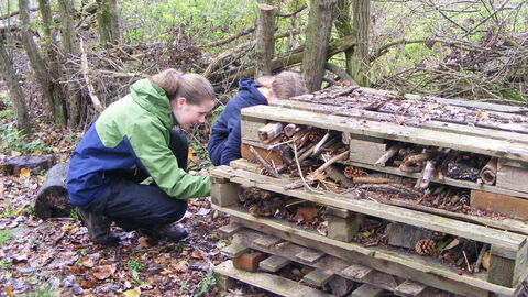 Image of two teenagers looking into a large bug hotel made of wooden pallets and other natural materials.