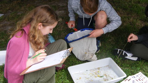 Image of two adolescents crouched in front of a tray where they have placed captured insects to identify them.