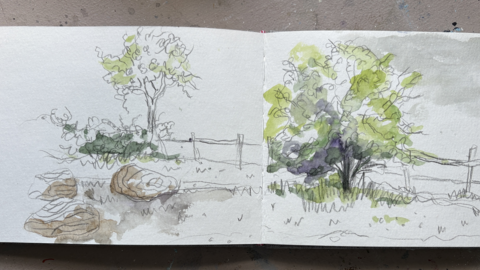 Nature Journalling - Helen Grimbleby