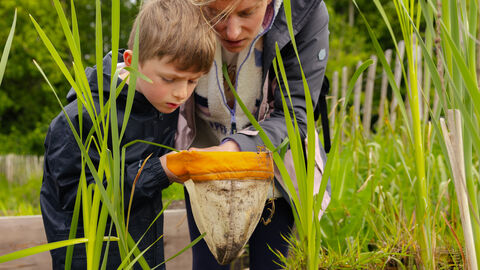 boy and woman look into pond net whilst standing over pond