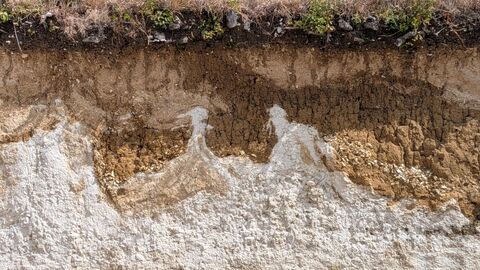 Layers of topsoil, chalk and fit in cutaway