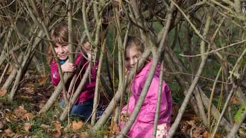 Image of two children playing on the ground of a Willow tunnel. They are partly obscured by the Willow whips, but their faces can be seen smiling.