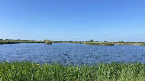 Reconnecting Bernwood Otmoor and the Ray