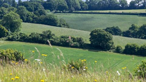 Chilterns Farming Clusters