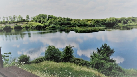 COLLEGE LAKE
