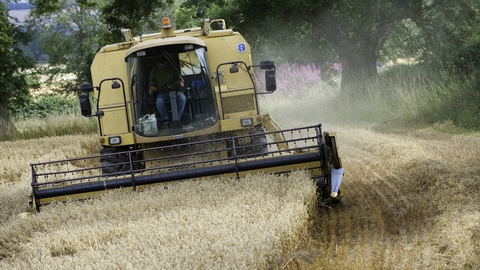 Combine harvesting