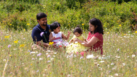 Family in meadow