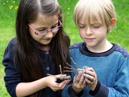 Fun with mud and sticks