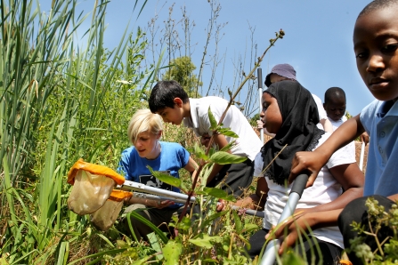 Habitat Safari