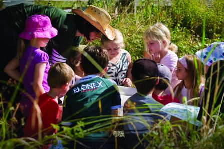 Pond dipping