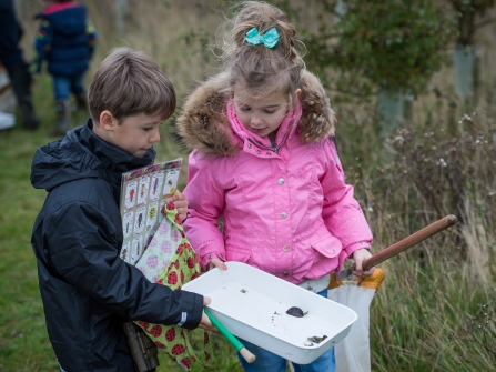 Pond dipping