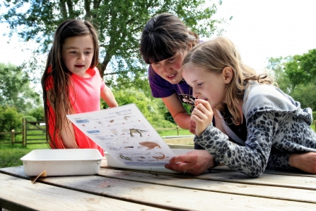 Pond dipping