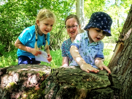 Exploring woodland