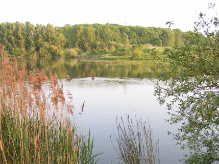 Hosehill Lake