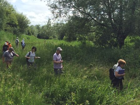 Wild Oxford by Andy Gunn