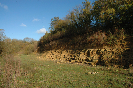 Ardley Wood Quarry