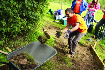 Company volunteer day