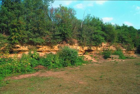 Dry Sandford Pit