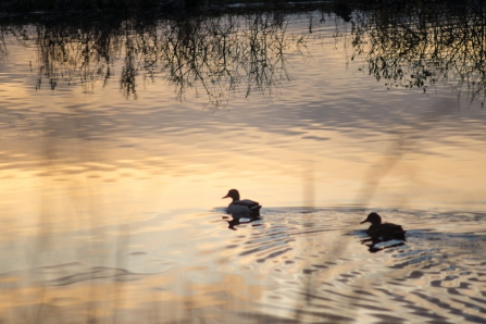 College Lake