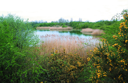 Calvert jubilee, a reserve that HS2 will effect