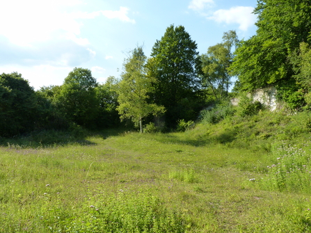 Hurley Chalk Pit