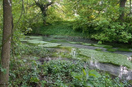 Letcombe Valley