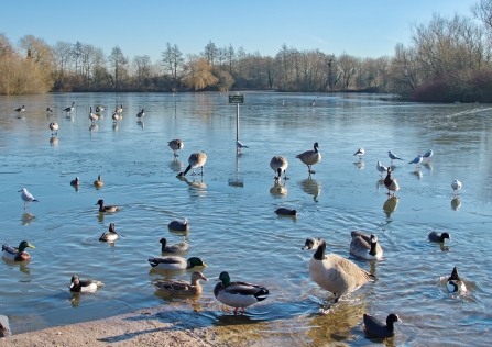 Nature Discovery Centre by Maria Arkwright