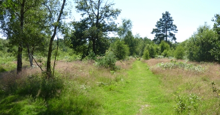 Padworth Common