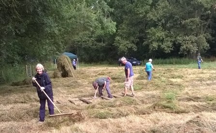 Group of volunteers scything at Audrey's Meadow