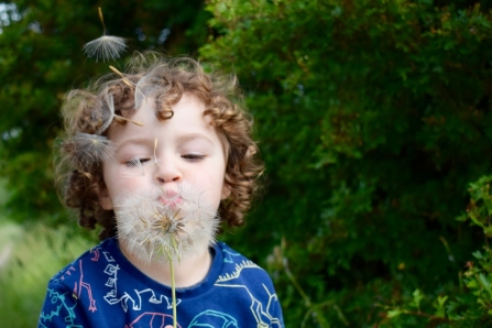 Boy with seedhead