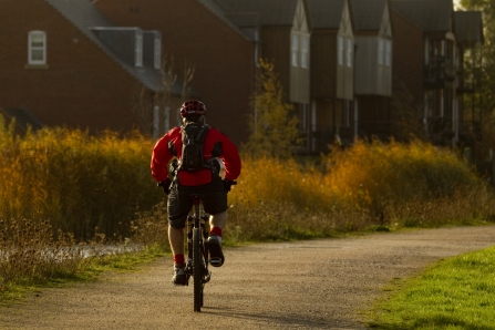 Cyclist in evening light