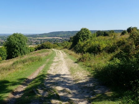 Bacombe Hill by Mick Jones