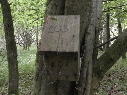 Dormouse nest box