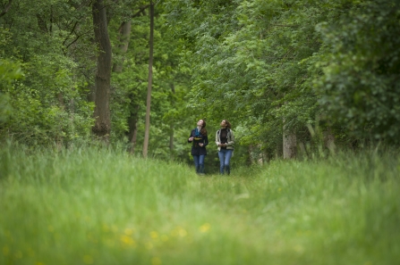 Wildlife walk