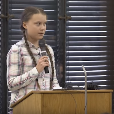 Greta Thunberg addresses the UK Parliament