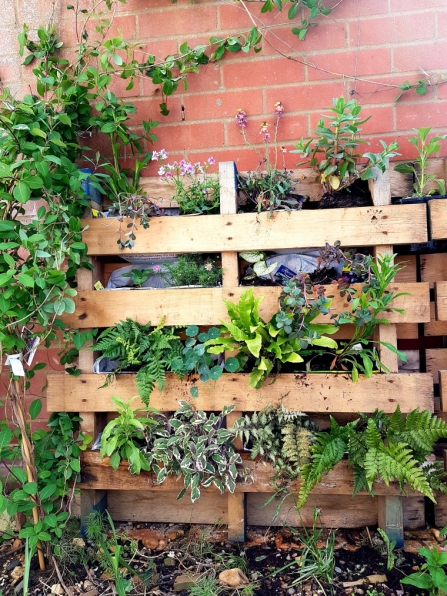 Pallet garden