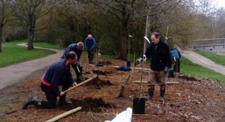 Spiceball Park tree planting volunteers