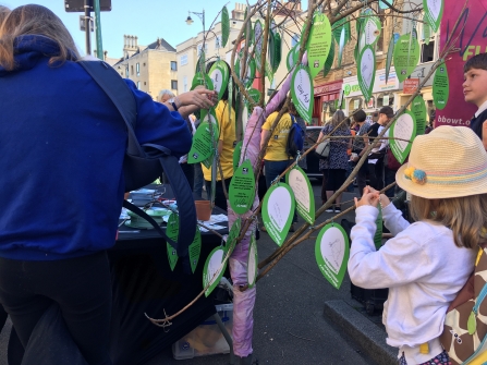 A child adding her pledge to the BBOWT pledge tree