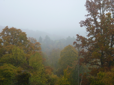 Warburg Nature Reserve