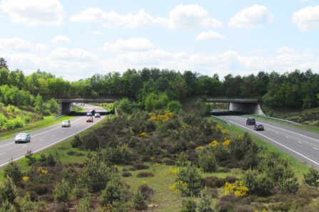 Green bridge or ecoduct in the Netherlands