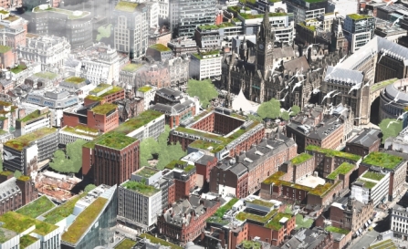 A vision of greener urban space with green roofs and walls
