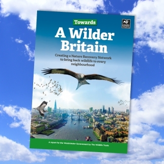 Image showing cover of the Wildlife Trusts' guide to Nature Recovery Network
