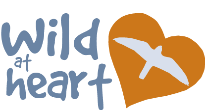 Wild at heart