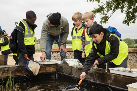 primary school pond dipping