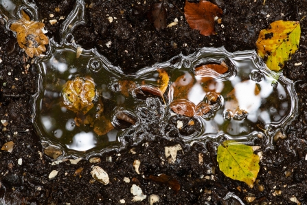 Icy footprint